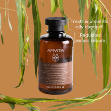 Load image into Gallery viewer, Apivita Oily Dandruff Shampoo, White Willow &amp; Propolis 250ml
