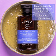 Load image into Gallery viewer, Apivita Sensitive Scalp Shampoo With Lavender &amp; Honey 250ml
